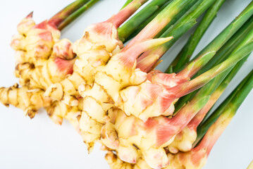 Fresh young ginger on white background