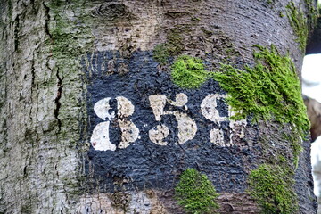 859. Numéro peint au pochoir sur un arbre.