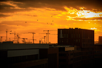 Hamburg | Baustelle | Sonnenuntergang