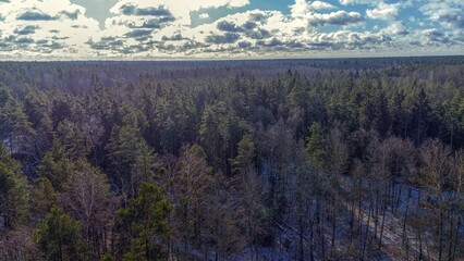 celna siemianowka puszcza białowieska