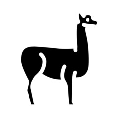 lama wild animal glyph icon vector. lama wild animal sign. isolated contour symbol black illustration