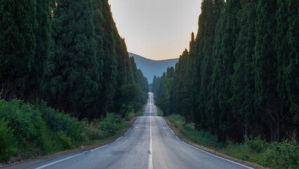 Beautiful sunrise in a sunny day in Bolgheri, Tuscany