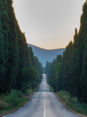 Beautiful sunrise in a sunny day in Bolgheri, Tuscany