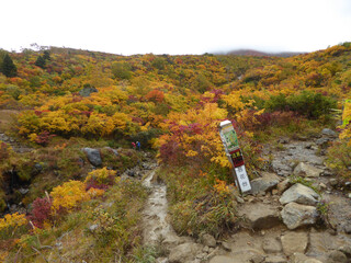 栗駒山の紅葉
