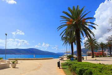 Embankment of Tivat in sunny day in Montenegro