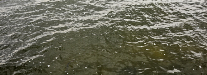 Ripple on the water surface. Ocean or sea water background under the sun rays
