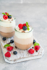 Dessert three chocolate in a glass jar with fresh blueberries, raspberries and blackberries on top on a gray concrete background. Dessert with three layers of different taste. Copy space.