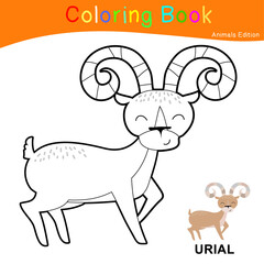 Coloring animal worksheet page. Educational printable coloring worksheet. Coloring game for preschool children. Black and white vector illustration. Motor skills education.