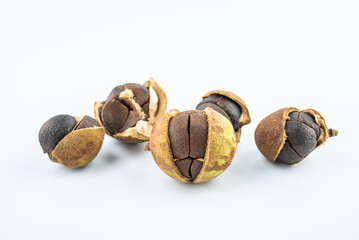 natural vegetable oil camellia seed