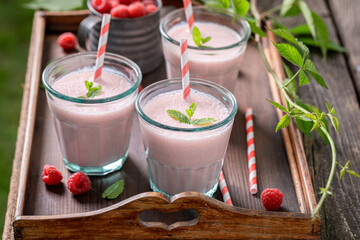 Homemade cocktail made of yoghurt and raspberries.