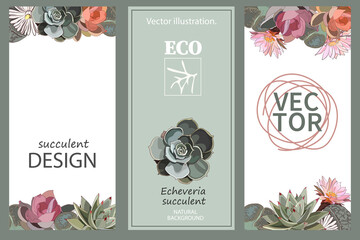 Succulents and cactus flowers. A set of templates for the design of ecological printed products. Vector illustration in a flat, minimalist style.