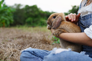woman holding a brown adorable rabbit on her lap in the garden, pet rabbits concept