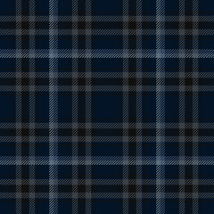 Graphic Design of Plaid pattern with blue and black color. Texture for skirt, clothes, dresses and other textile . Vector graphic