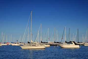Fototapeta premium yachts in the harbor