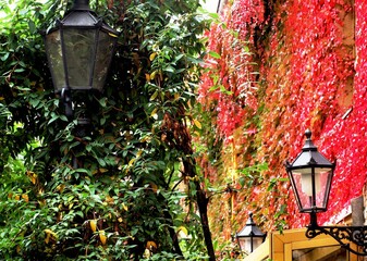 Lamps and lights