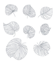 Vector set of silhouettes with tropical leaves on a white background. Summer concept. Black lines.
