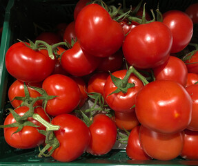 Deep red ripe tomatoes