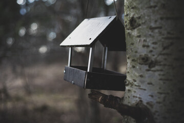 a birdhouse that hangs on a tree in the forest