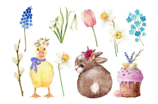 Set of watercolor illustrations for Easter holiday with rabbit, spring flowers and duckling. hand painted .