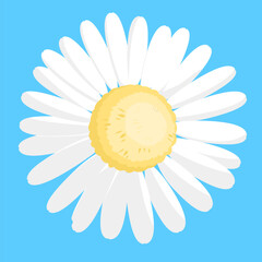 daisy on blue background flat design 