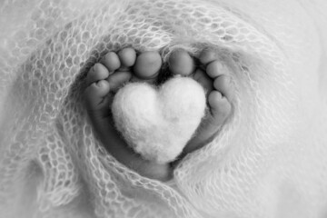 The tiny foot of a newborn baby. Soft feet of a new born in a wool blanket. Close up of toes, heels and feet of a newborn. Knitted heart in the legs of baby. Macro photography. Black and white. 