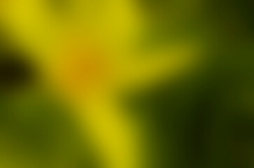 Colorful blurred background of beautiful sweet Green and Orange colors. For poster banner and product advertising. Background of product studio with Pink colour.