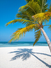 Fototapeta premium Beautiful, relaxing outdoor landscape of tropical island beach. Palm trees over blue azure ocean lagoon. Exotic traveling destination, summer vacation, beach seaside. Colorful nature sea sand sky view