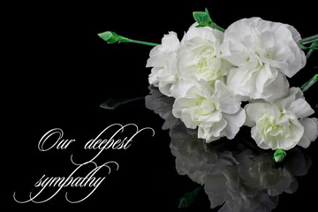 photo of white carnations flowers on black background