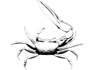 crab