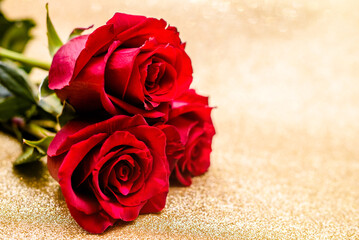 Red rose on a shiny gold background
