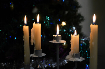 Five christmas candles are burning in front of christmas tree