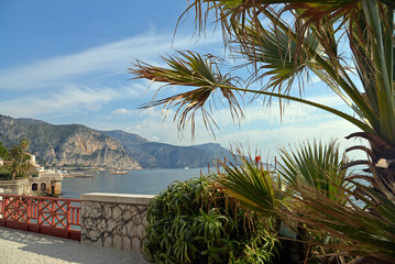 palm trees in the sea in Nizza