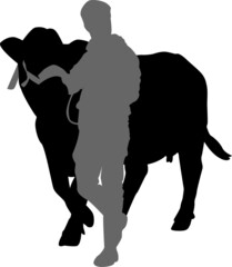 Silhouettes of a cow and a man leading her