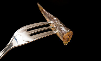 Galician sardine, pierced on a fork, with a black background