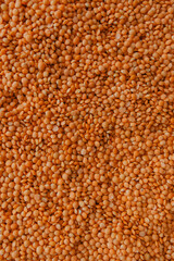 orange lentils like background and texture
