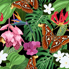 Tropical flowers and giant butterflies. Vector seamless pattern.