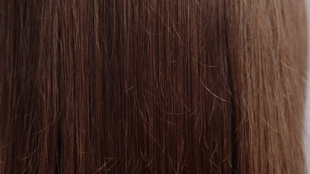 Closeup of comb slowly combing brown hair from top to bottom. Hairbrush slowly descends, combing long hair. Barber concept