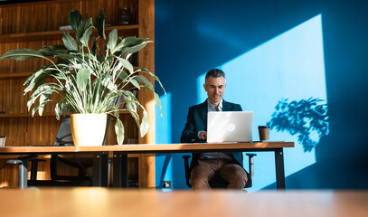 Cinematic and storytelling representation of daily business and office lifestyle. Employees and...