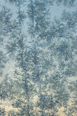 frost patterns on the glass