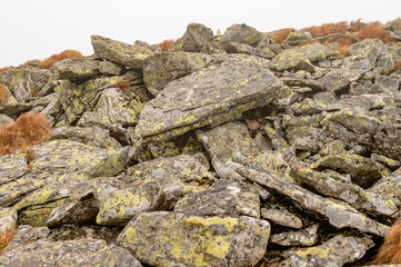rock in the fog, texture of rock with moss.