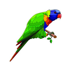 The parrot sits on a branch.Isolated on a white background. Separate stroke. Vector illustration. 