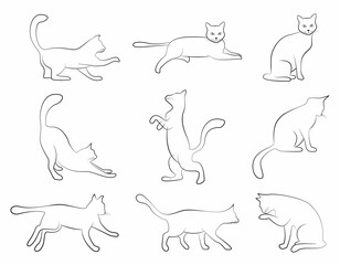 cat pose outline set by vector design