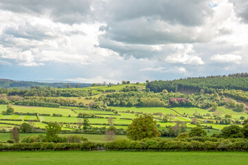 Obraz premium UK countryside in the summertime.