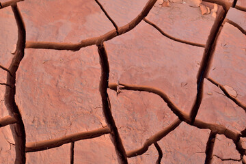cracked soil 