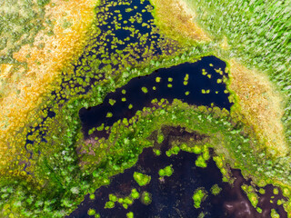 Aerial view on natural swamp from above, wild nature background - Karelia region, Russia