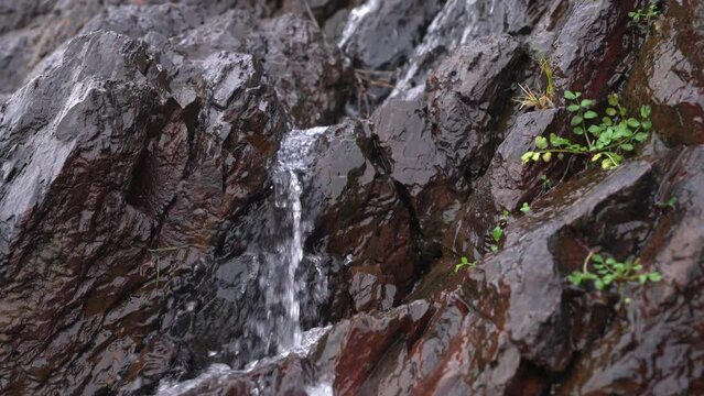 Manantial de agua