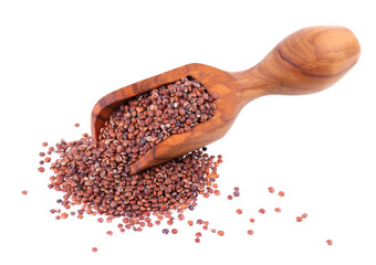 Red quinoa seeds in wooden scoop, isolated on white background. Pile of raw kinwa.