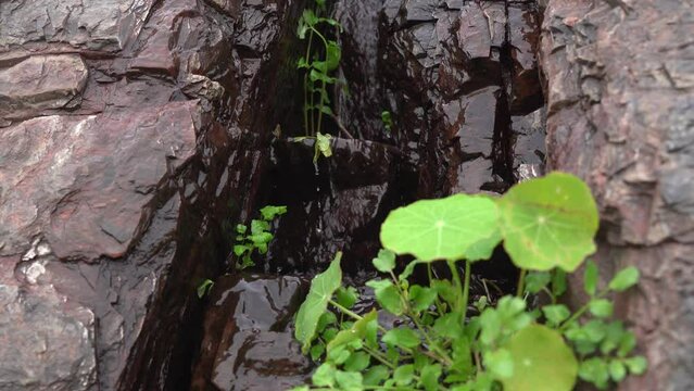 Manantial de agua