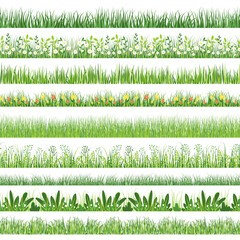 Grass pattern. Seamless horizontal print with cartoon weeds and grass with flowers. Vector texture © Natalia