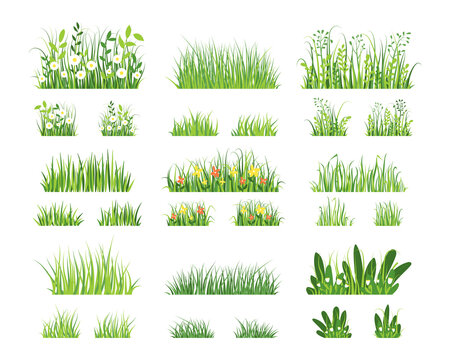 Green grass. Cartoon horizontal grass texture, farm and garden green border elements. Vector isolated set